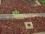 image of grave number 57706